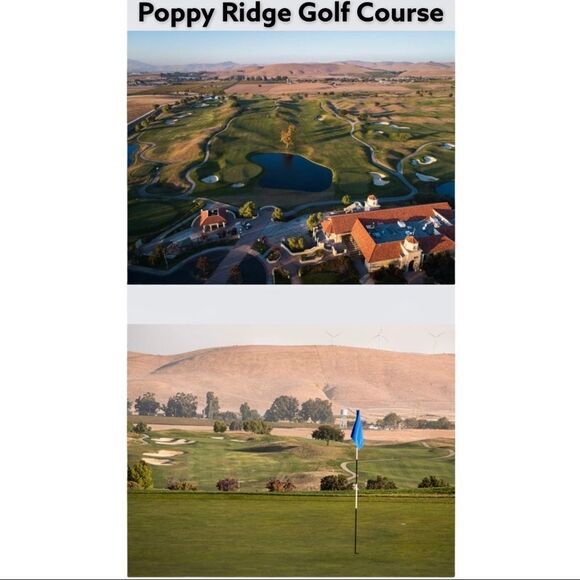 PUMA Men’s Poppy Ridge Golf Polo SHIRT XXL - Picture 9 of 11